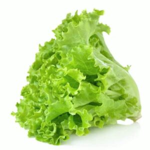 Lettuce