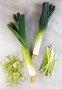 Leek
