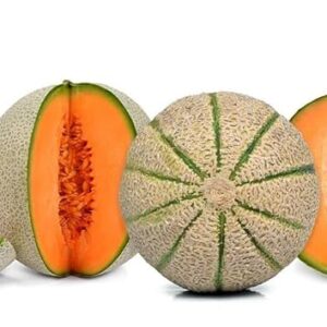 Rock melon