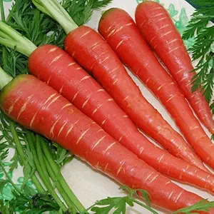 Carrots