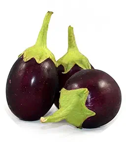 Eggplant