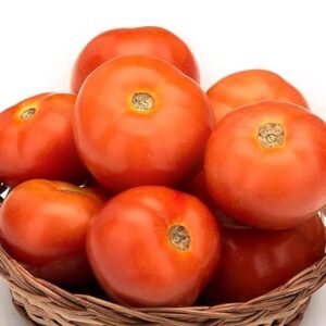 Gourmet Tomatoes 