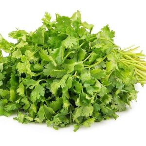 Coriander