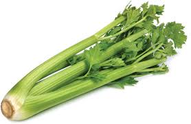 Celery Bunch