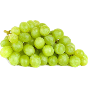 Fresh Grapes Seedless